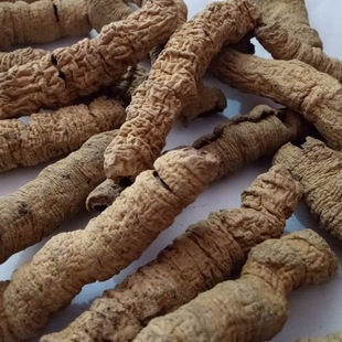 �S�����S���Ĵ�؛���l  ��о�o��ǰ���� �u�c�L ������һ�����l