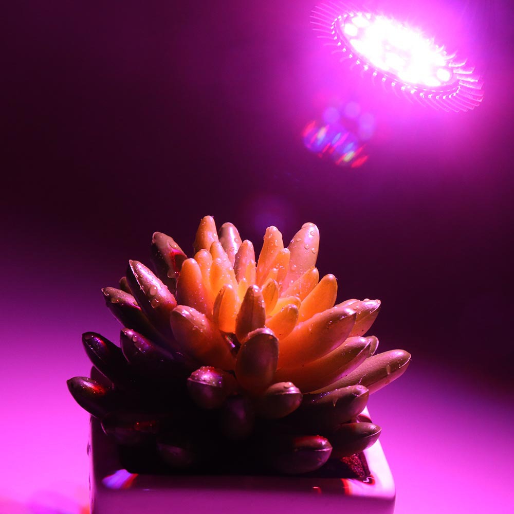 Fábrica al por mayor 18W espectro completo llevó la luz de la planta de semillero de interior luz de la flor planta suculenta luz para colorear