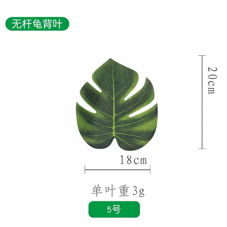 Medium size turtle leaf without stem★
