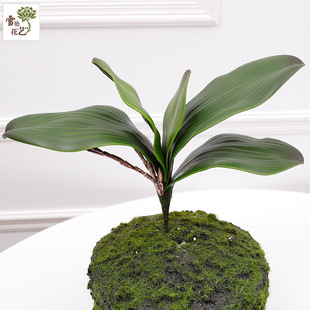 Simulatory Phalaenopsis leaves artificial leaf potted plants with bonsai decorative wedding materials window simulation orchid leaves