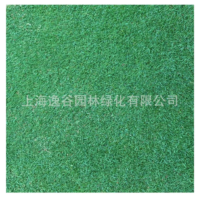 Ножницы Зеленый Газон Ножницы Трава Поставка Ползучая Газон Двор Газон