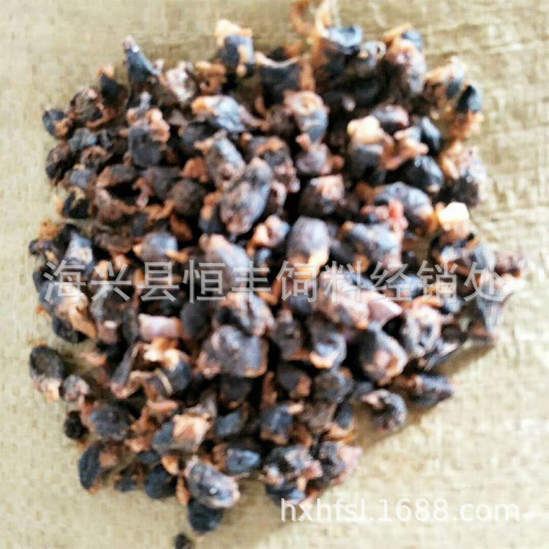 单冻扇贝肉批发海产品批发 粗加工水产品扇贝柱批发