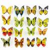 Realistic double-layer magnetic layout with butterfly PVC for kindergarten, pin, decorations, 12cm, 3D