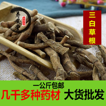三白草根中药材批发 三百草天性草根 无硫三白根新货九节藕包邮