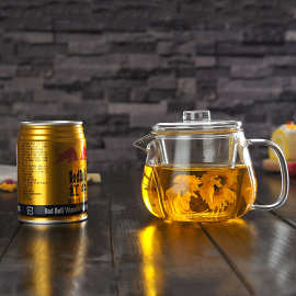 玻璃壶泡茶壶功夫茶壶内胆过滤小企鹅高硼硅煮茶壶加厚花茶壶