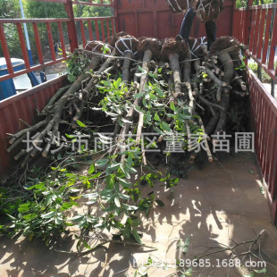 ����ռ����𻨘��� �ؽ�8-20���ְ�ڹ𻨘� �����͹����l�r