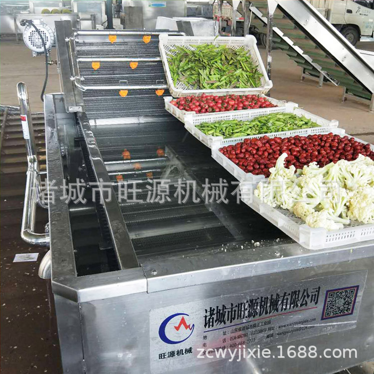 药材清洗设备  气泡式芥菜清洗机器旺源 高压喷淋果蔬清洗机