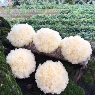 ����S һ�����l�������������r�y��6����ۺ�߻�ُ���rˮ���߲�