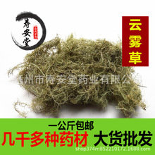 ��F��һ������]��ș�����l��F�� Ұ�����}��؛�o��� �Ͼ��