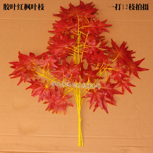 �����z�~�t���~ 4���zƬ���~��֦ ������~�G���@�־��^���Ø�֦