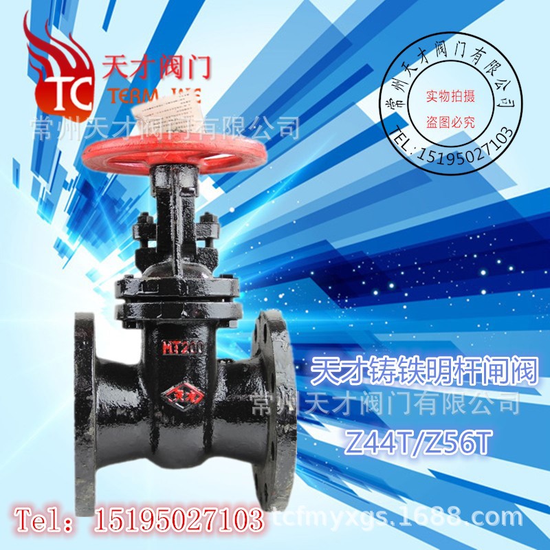 天才明杆铸铁闸阀 Z44T/Z41T-1.6 铸铁法兰闸阀 双闸板国标体