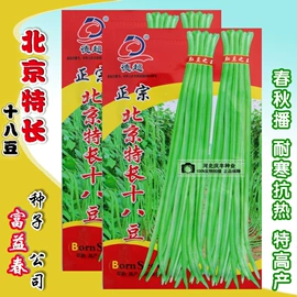 蔬菜种子;其他农业