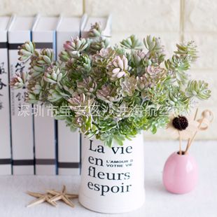 �S��ֱ�N ���懊ɫ�ɻ� �ٶ���ֲ�� �bGֲ