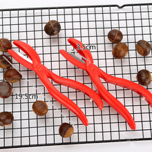 �����_�������ӄ����C����ʮ�ֻ��ڵ�ȥƤ���������A���_������