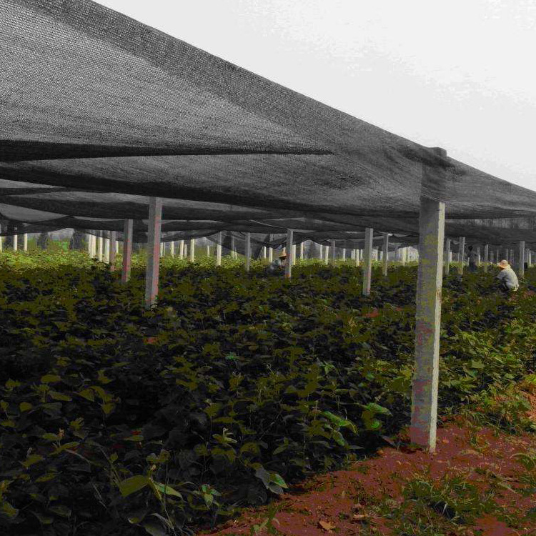 厂家直销 高品质3针黑色扁丝遮阳网防晒网抗老化