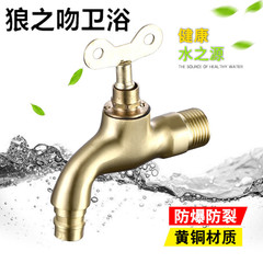 Lockable faucet outdoor anti-theft and anti-freeze stainless steel faucet faucet 4 points 6 points with key washing machine faucet