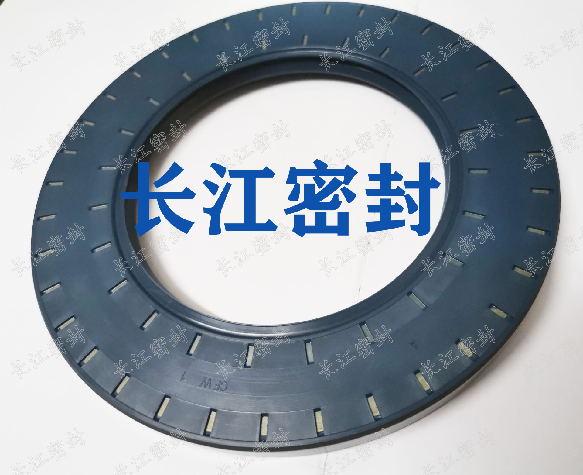 德国CFW BAUSLX2 骨架油封65-100-10