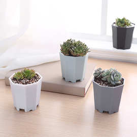 大号新款加厚八角塑料多肉盆9*9万象育苗磨砂盆创意简约塑料花盆