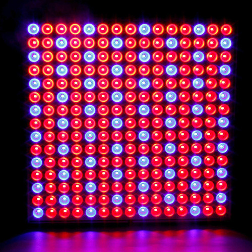 Amazon 450,000 Plant Grow Light Red and Blue Supplemental Light Square Panel Plant Lamp