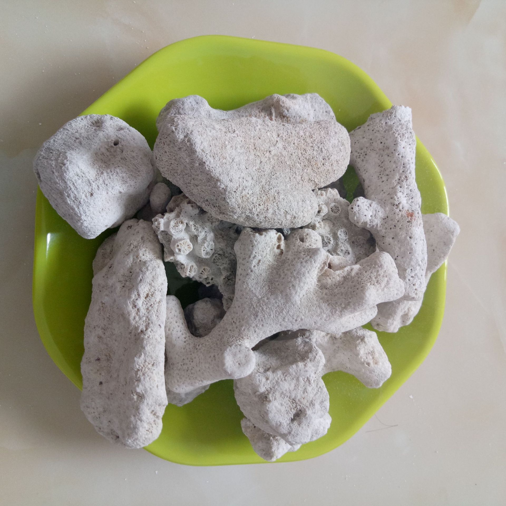 厂家供应珊瑚石水族造景珊瑚石  鱼缸装饰用珊瑚沙