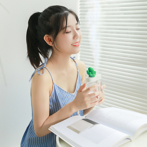 Sanhuo Cross-border View 319 Transparent Cactus Mini USB Humidifier Night Light Office Desktop Creative Gift
