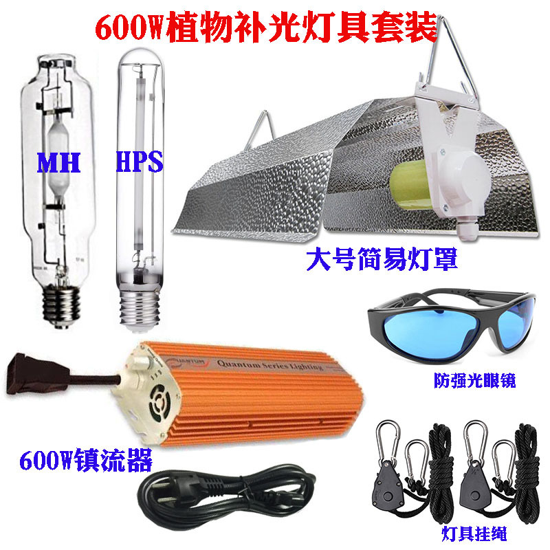 유럽 수출 600W 전자 밸러스트 간단한 전등 식물 성장 조명 보충 조명 조명 심기 세트 램프