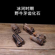 ���������Ұţ���X��ʯԭʯ�^�˱����ӕr�ڄ������X���ս̌W�˱�