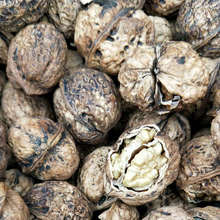 ½ɢbƤ ɢboƯ500g ӱƤƤ