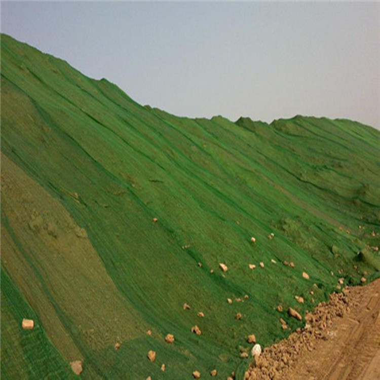 厂家现货供应2针绿色盖土网 工地防尘盖土网  防尘网盖土绿网