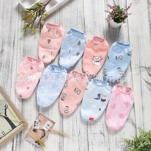 HONGHONGPETůĴȮСȮ̩ϱ܎qﹷ·