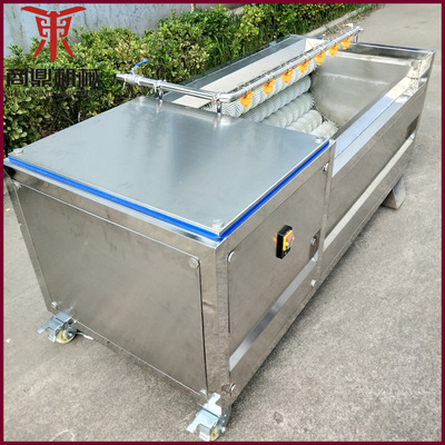 [供应去泥毛棍清洗机 土豆山药 莲藕地瓜毛棍清洗机 土豆清洗机]