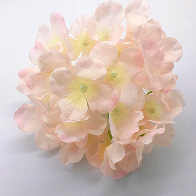 고기 핑크