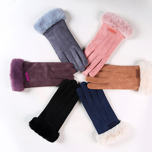 Suede women's gloves women's autumn and winter warm plus velvet thickened stewed gloves manufacturer wholesale