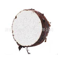 ��ͷ�����ҳ����ṩ������ͷtaro    ��ӭѡ��