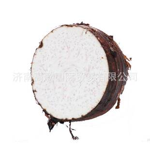 ���^���S���L���ṩ���r���^taro    �gӭ�xُ