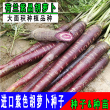 ���m�Ͼ����}���N��ˮ���ϼt�}�������}���Ѵ����߲˷N�ӷN��