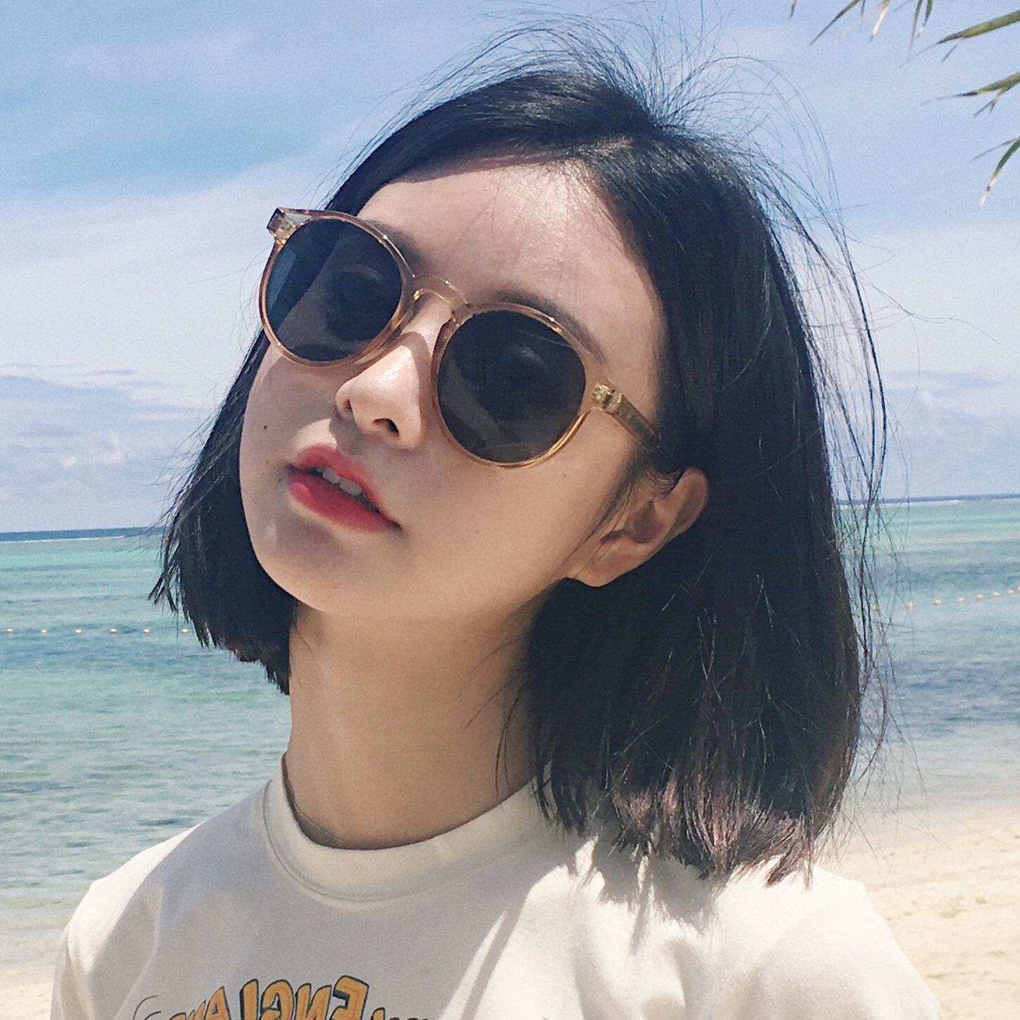 ins sunglasses Korean fashion 2023 new vintage sunglasses soft sister Brown net red Street Sunglasses Wholesale