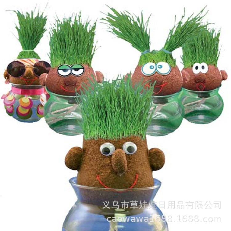 Растущая длинная трава голова травы giegie борода Кукуруза кукла африканская трава корейская кукла травы офисное растение в горшке