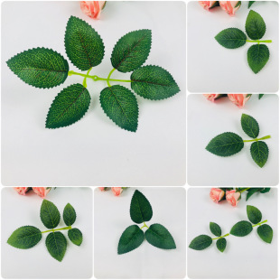 3�����~5���~6���~�zӡ����õ���~ ����õ�廨����~�����