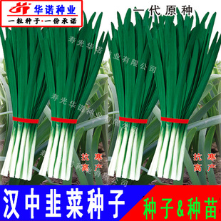 �h�ж��²˷N�Ӷ��������~�²˷N�Ѱ׸��²����ͺ��߲˷N���ļ��N