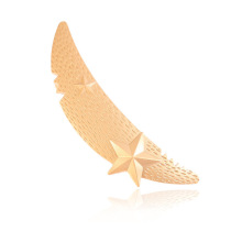 �W���¿����治Ҏ�t���������F��ɫ�l�A���R�d���uͨ����l�A���l