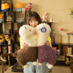 ������F��ë�q������в����R��񄱧���ɐ���ż������һ�����l