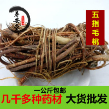 ��ָë�������ߝ���ș����Ʒ��ָë�Ҹ��ݾ��Ҝ�������צ��