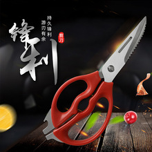 �S�ҬF؛ �๦�܎��ű�������P䓏������b�u�Ǽ��� ʳ��N������