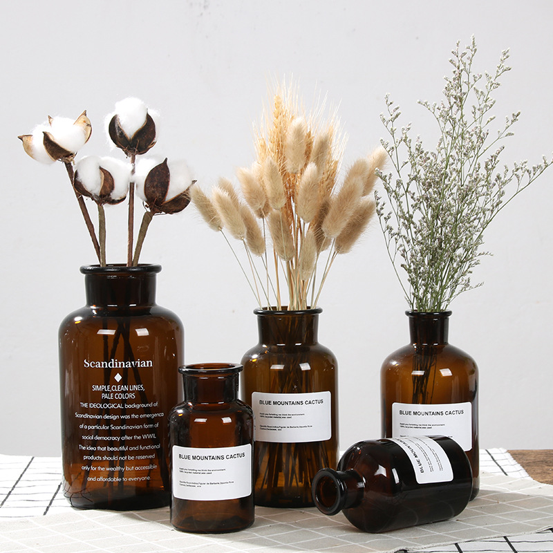 ins风花瓶北欧小棕瓶透明玻璃干花简约创意家居客厅插花水培摆件