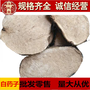 ��ș�� ��ș֬-��ș��-500��-�����r�aƷ-��؛���l--��ș�ӬF؛