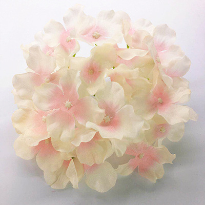 화이트 에지 파우더