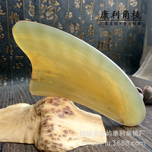 ţ�ǰ���𰼲�Ƭ�沿�����Ȳ�������������ȫ��ͨ�ù�������