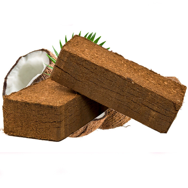 Оптовая кокосовый кирпич посадка питательной почвы овощная посадка Кокосовая почва мясистая Почва завод санитарная почва Торфяная почва