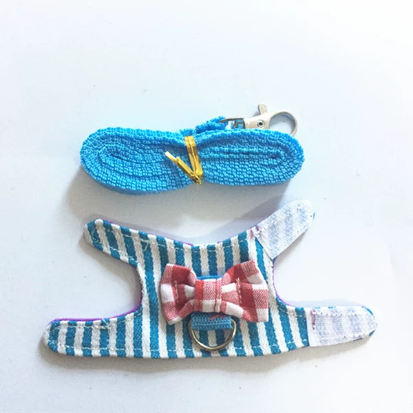 Blue stripe XS number